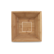 Interior Laser