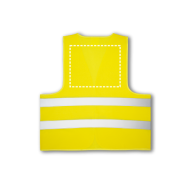 Posterior Transfer Digital